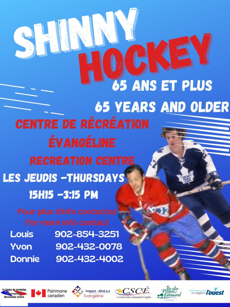 Shinny Hockey (65+)